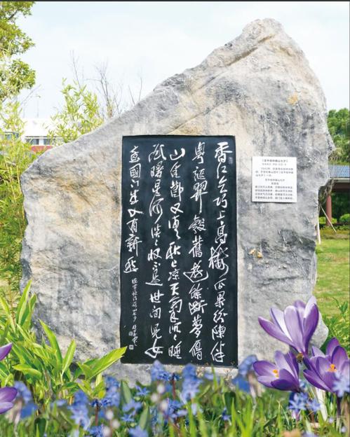 香港六盒资料大全