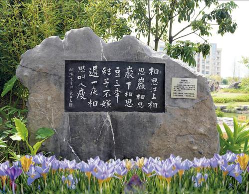 香港六盒资料大全